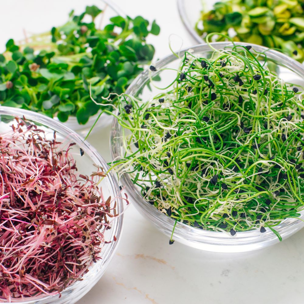 Mehr Informationen zum Thema: Vitamin-Bomben für die kalte Jahreszeit